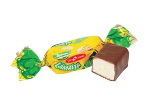 PUMATIKOMPVEK "LAIMITA" SIDRUNI