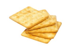 KREEKER "CREAM CRACKER" Sibulaga
